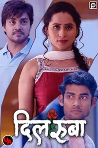 Download Dilruba [18+] (2023) S01 [Episode 1 To 3] Hindi PrimeFlix WEB Series 720p | 1080p WEB-DL